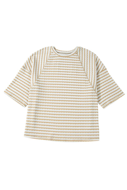 Apricot Stripe Plus Size Textured Patchwork Detail Half Sleeve Top