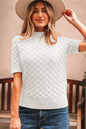 White Fish Scale Textured Knit Ribbed High Neck Short Sleeve Sweater