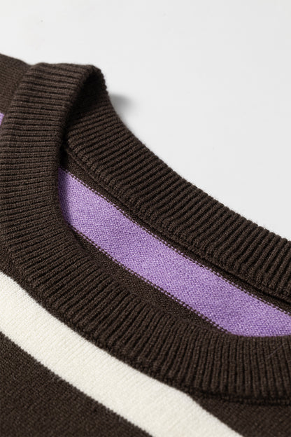Brown Stripe Embroidered Detail Drop Shoulder Pullover Sweater